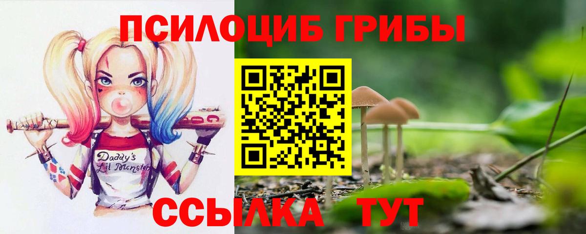 Псилоцибиновые грибы GOLDEN TEACHER Ялта